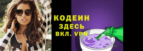 spice Богданович