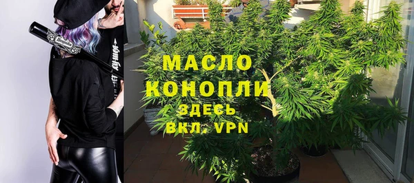 spice Богданович