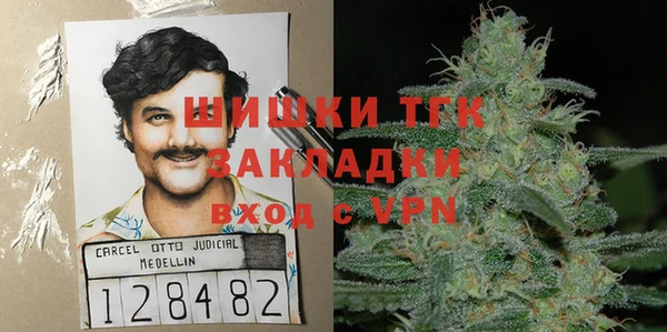 spice Богданович